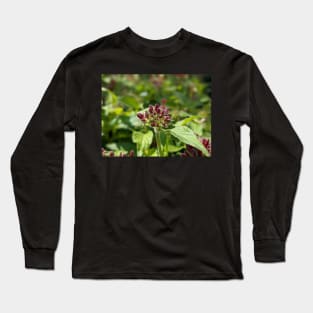 Penta Buds 2 Long Sleeve T-Shirt